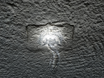 The Monster II / Es frisst Dich