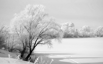 Auf dem Fluss Oka. / ***