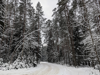 Winter-Straße / ####