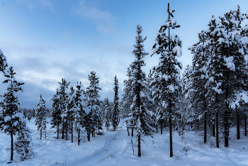 Frosty Day / ...