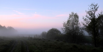 Mai Morgen / ***