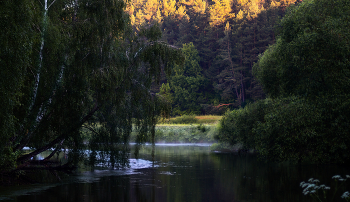 Am Ufer des Flusses / ***