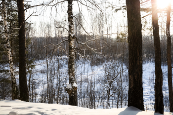 Winterlandschaft / ***