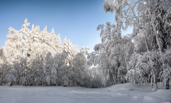 Winter-Nachmittag / ***