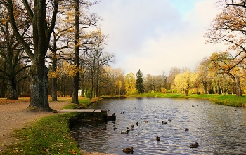 im Park / ***