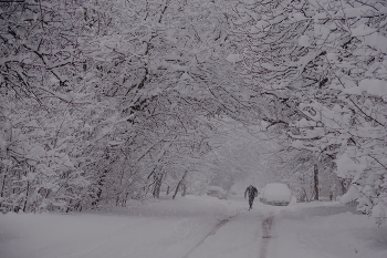 Schlechtes Wetter / ***