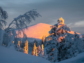 Wintermorgen. / ***