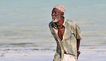 Der alte Mann und das Meer / ...