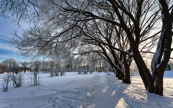 Im Winter Park ... / ***