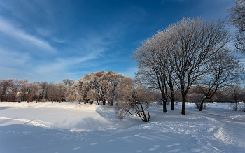 Im Winter Park ... / ***