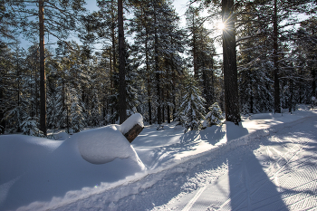 Winter-Nachmittag / ***