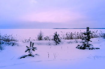 Abend auf dem See / ***