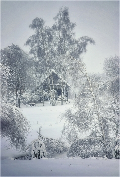  / 2010