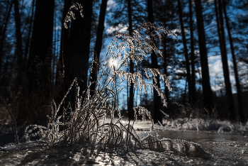 letzten Tag des Winters / ***