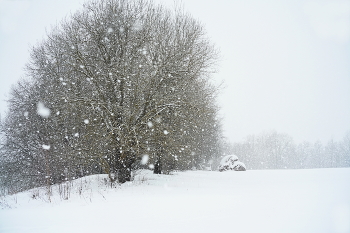 Schneefall. / ***