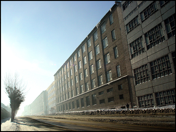 Nebel zerstreut / ***