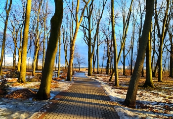 Abschied von Winter / ***