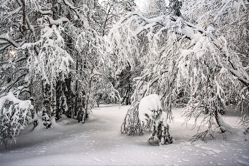 verschneite Winter / ***