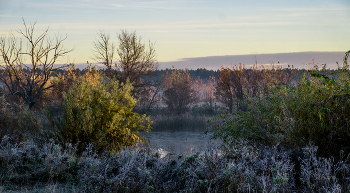 Herbst / ***