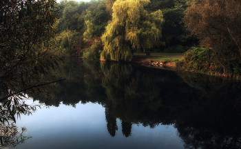 Auf dem See / ***