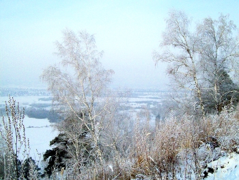 in den Winterwald / ***