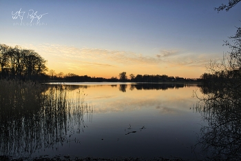 Stiller See / Abendstimmung am See