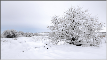 weiß winter / ***