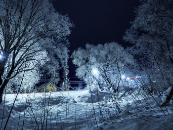 Winter Night / ***