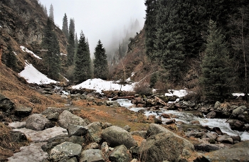 Frühling in den Bergen / ***