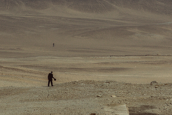 &nbsp; / egypt2019