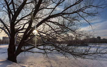 Im Winter Park ... / ***