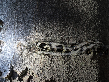 The words flow out of my mouth / A sign