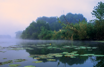 Bewölkter Morgen. / ***