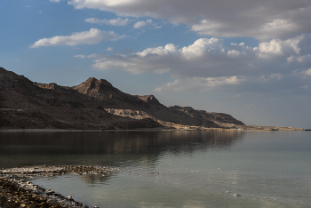 Dead Sea / ...