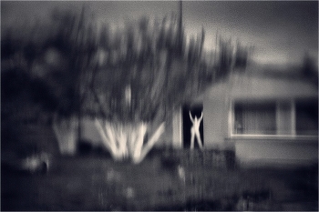  / 2008