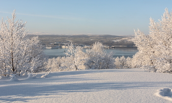 Frosty Muster / ***