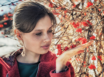 Kalina Krasnaja / ***