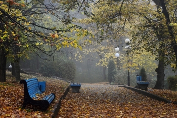 Im Herbst des Parks ... / ***