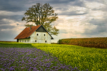 &nbsp; / Bauernland