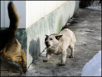 Alien Übertreten / ***