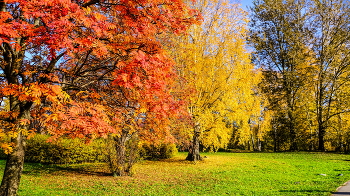 Aquarell Herbst / ***