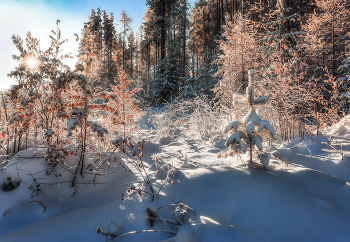 Sonniger Morgen / ***