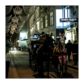 A walk in Vienna. / ***