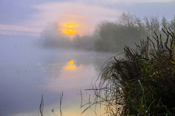 Im Nebel. / ***