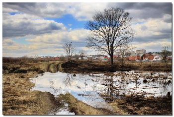 Frühling / ***