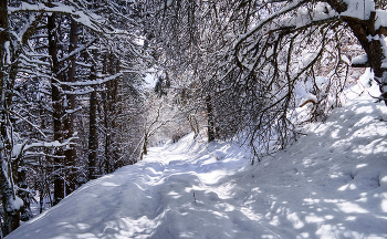 Bergstraße / ***