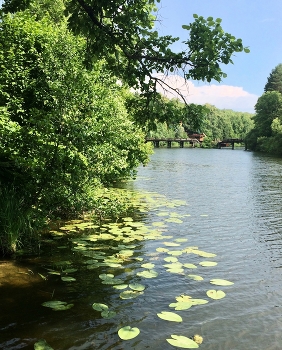 Auf dem Fluss / ***