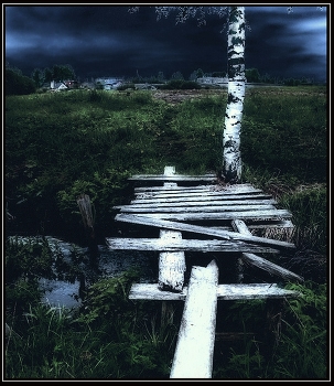&nbsp; / 2005