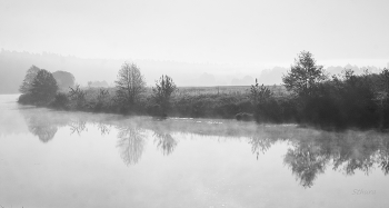 Nebliger Morgen / ***