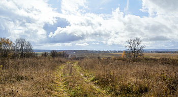 Herbst-Skizzen / ***